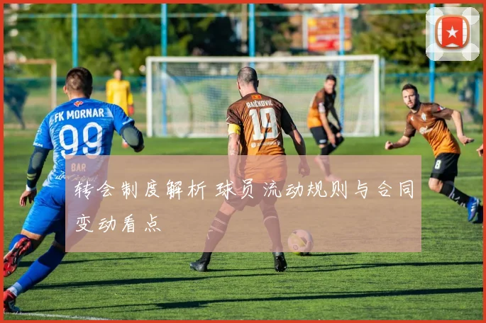 转会制度解析 球员流动规则与合同变动看点