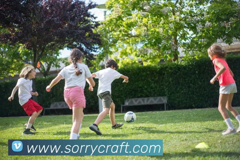 人人体育在线直播发展历程